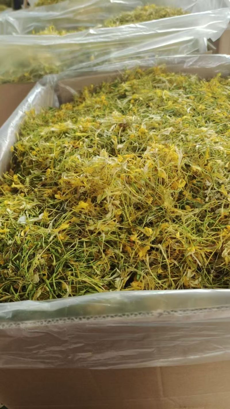 上新干花山花五彩花