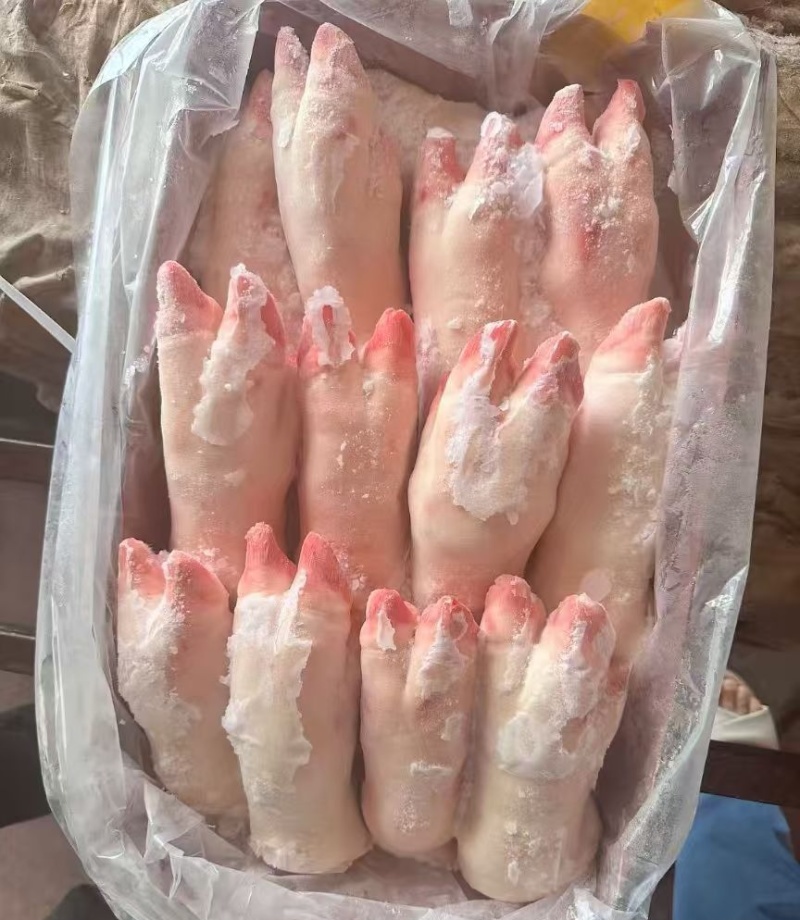母猪蹄