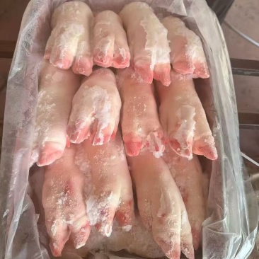 母猪蹄
