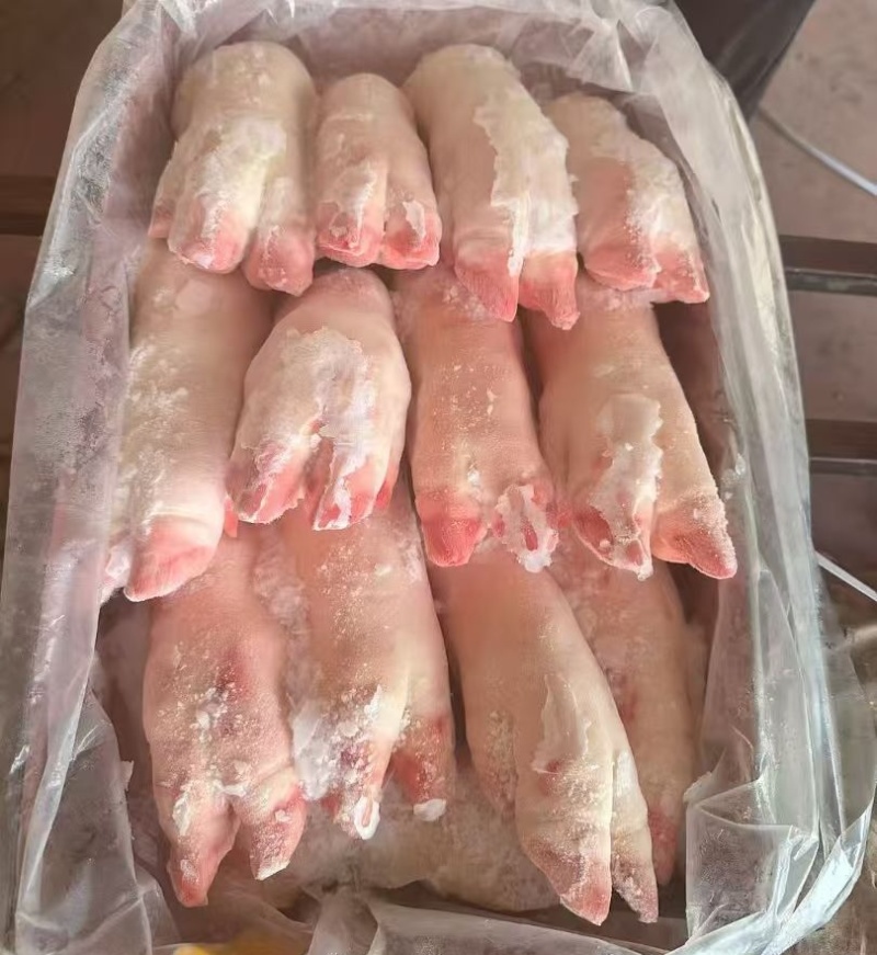 母猪蹄