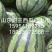山东省莘县董杜庄甜王西瓜.***********18