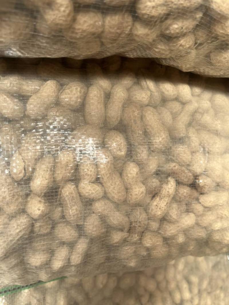 花育25精选大果袋装，量大优惠