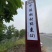 苏州洞庭东山白玉枇杷上市