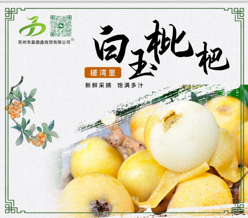 苏州洞庭东山白玉枇杷上市