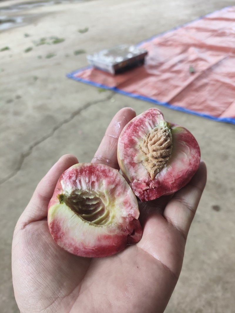 百花桃武昌桃电商一件代发