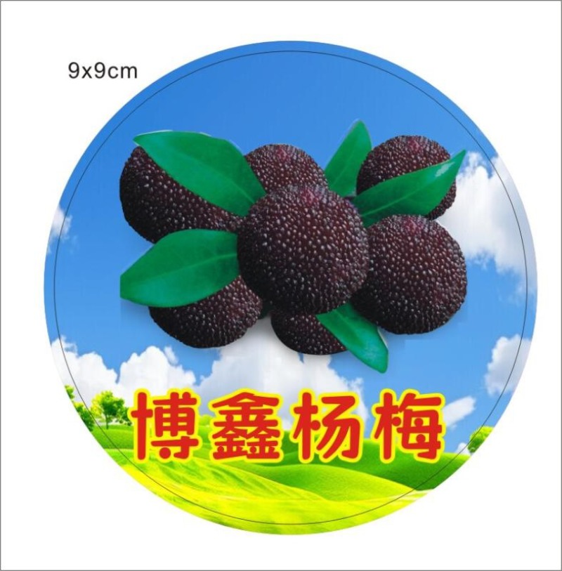 杨梅产地直发，主卖杨梅各个品种，有意向老板可以商谈