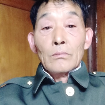前胡