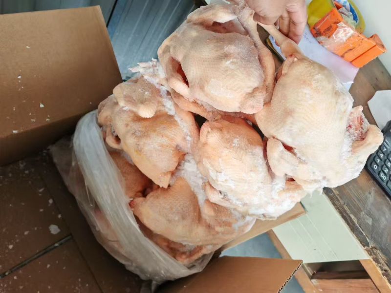 一级二级三黄鸡都有，规格齐全，工厂直销资质齐全