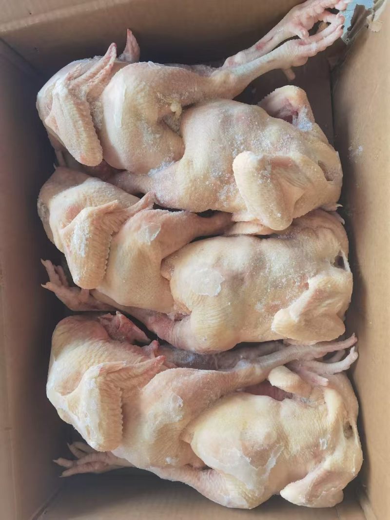 一级二级三黄鸡都有，规格齐全，工厂直销资质齐全