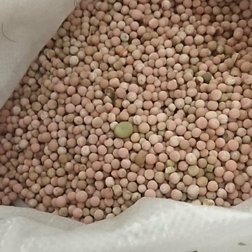 豌豆和胡豆