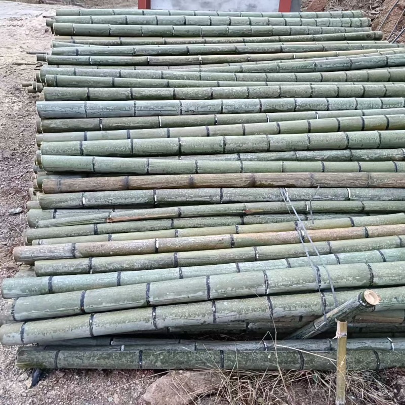 精品香蕉甘蔗竹，各种规格