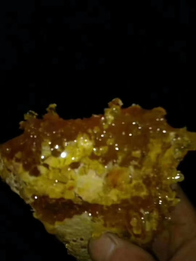 土蜂蜜