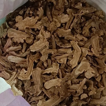 白术