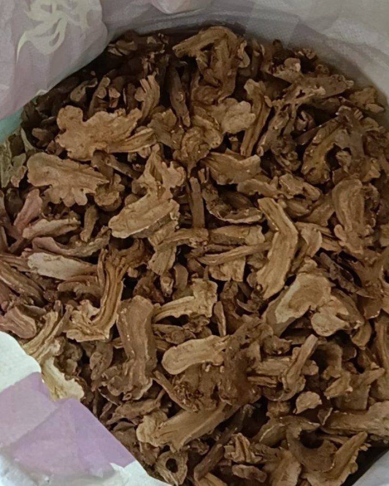 白术