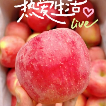 正宗山东烟台红富士苹果