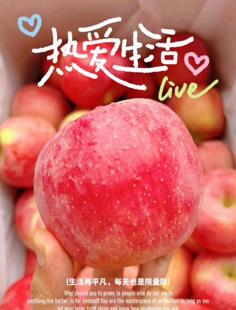 正宗山东烟台红富士苹果