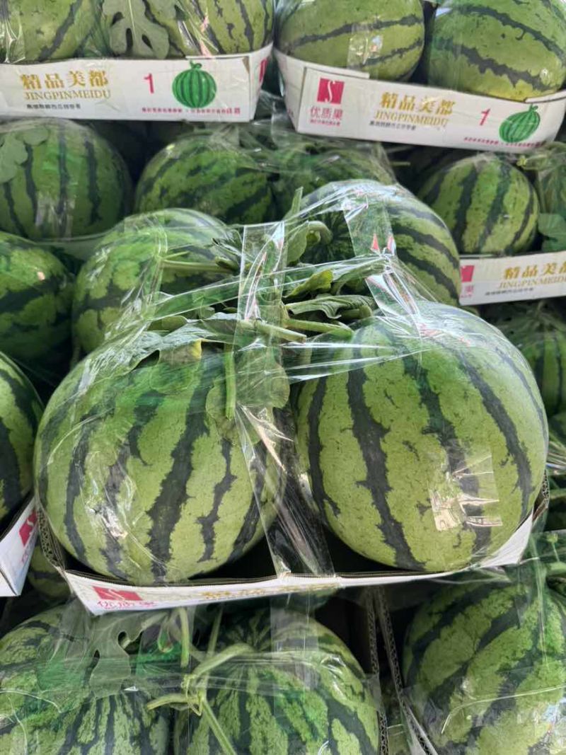 大棚无籽西瓜，精品麒麟美都，现货现发量大从优，一手货源
