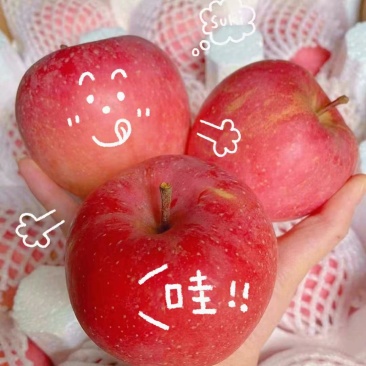 三级红富士苹果