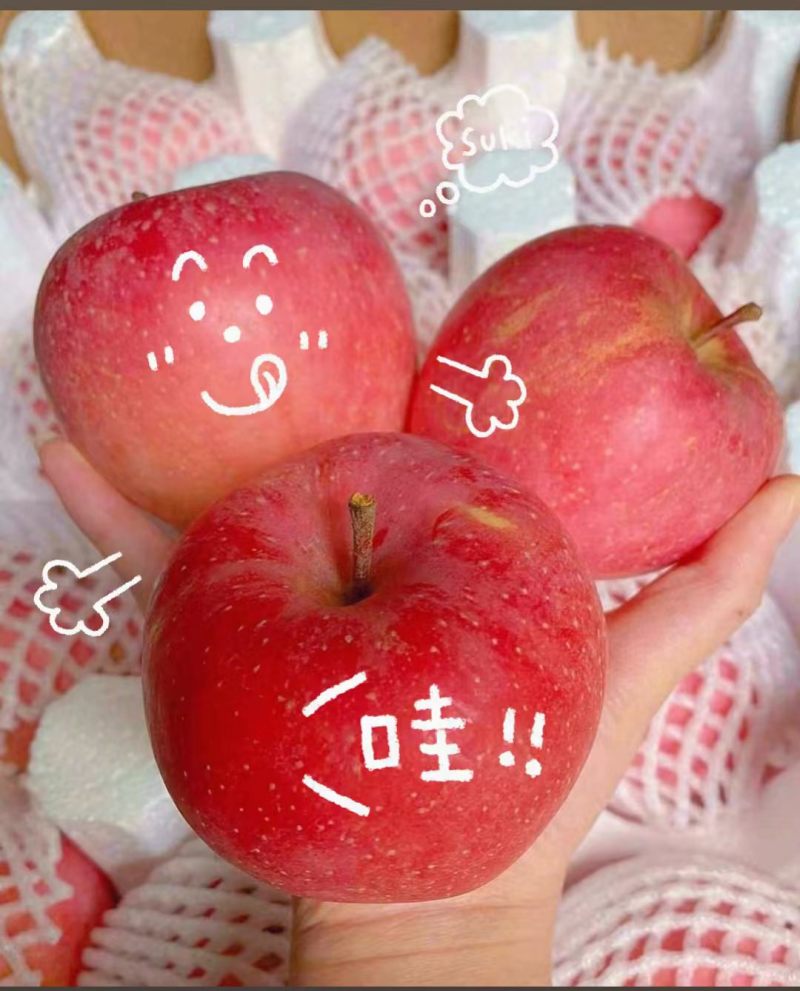 三级红富士苹果