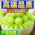 玉菇甜瓜一件代发全