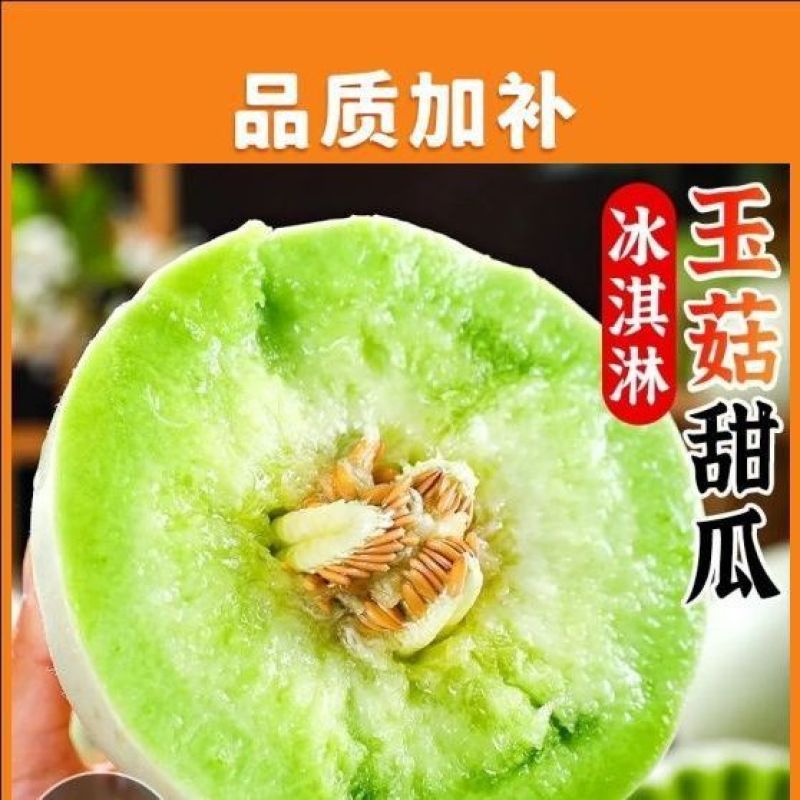 玉菇甜瓜一件代发全