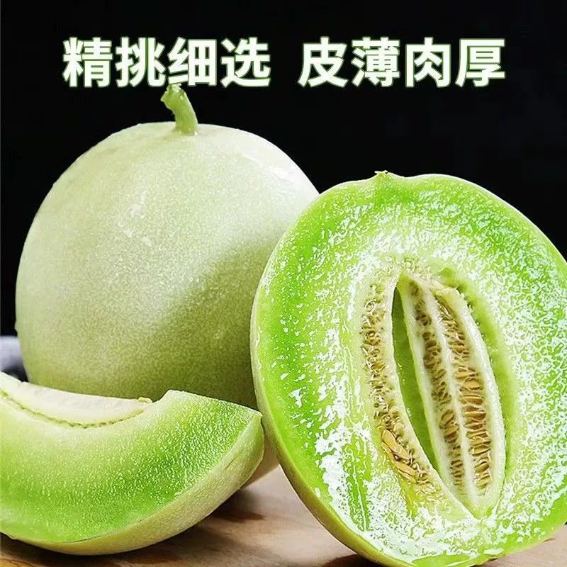 玉菇甜瓜一件代发全