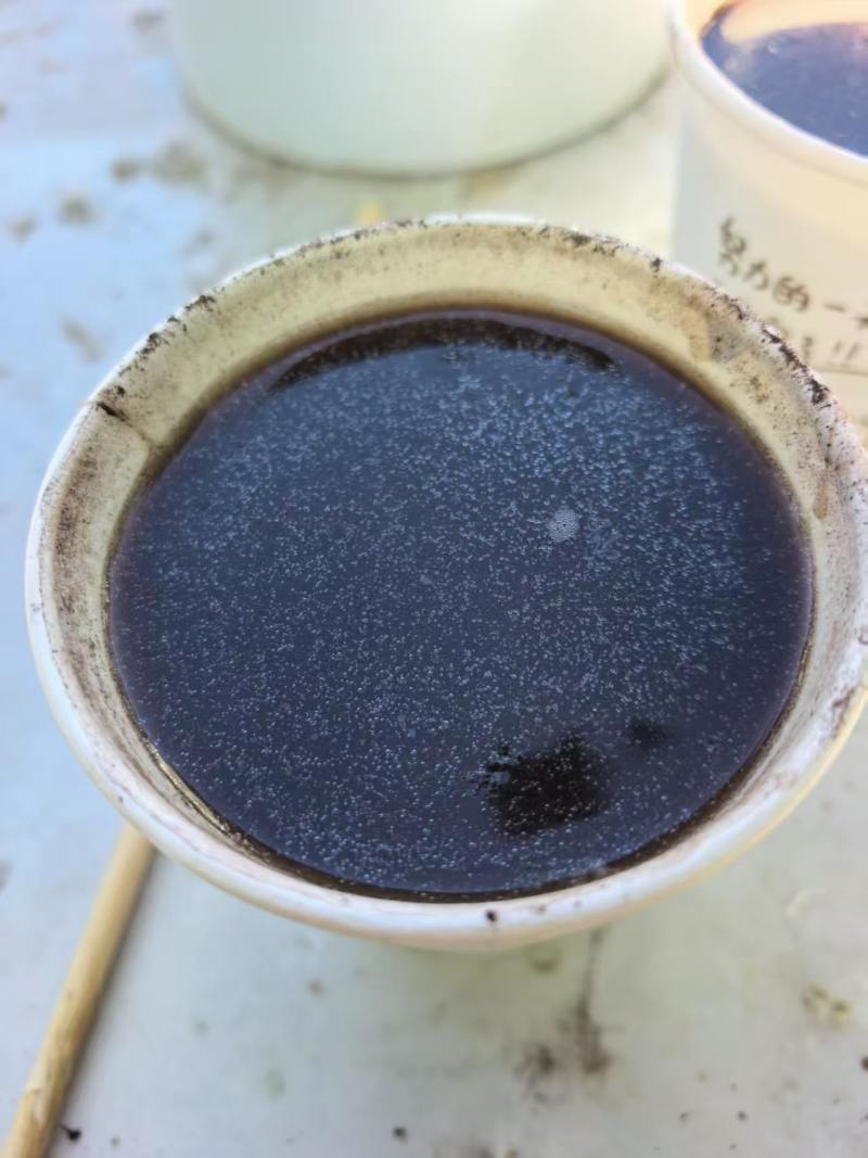 超低价灵芝孢子粉