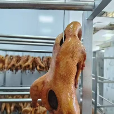 正宗荣昌卤鹅
