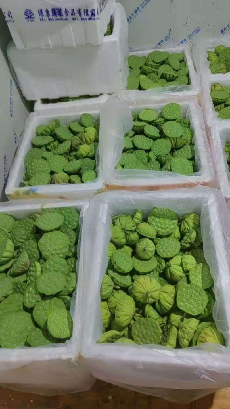 海南水果莲蓬基地直供全国各地海南莲蓬航空
