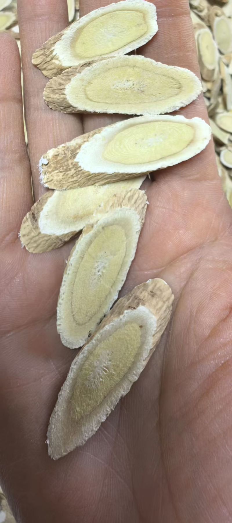 黄芪饮片