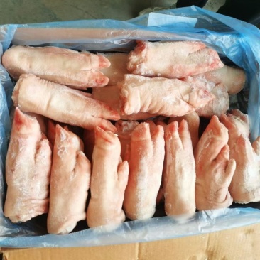 猪手猪脚031大量供应