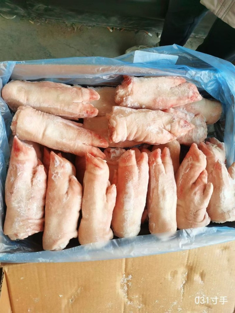 猪手猪脚031大量供应
