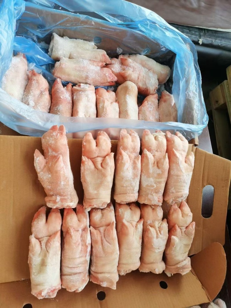 猪手猪脚031大量供应