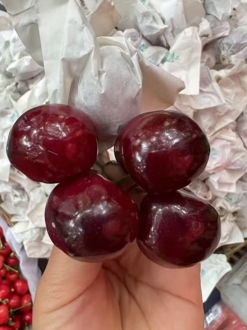 甘肃天水大樱桃