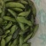 青蚕豆