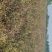 200多亩，就这个标准了，无水，无肥，无药，纯正无公害新