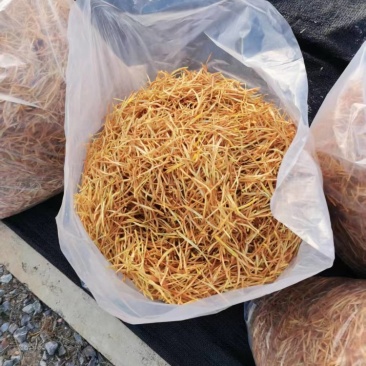 正宗祁东原产地黄花菜新货***自然晾晒散装农家土特产