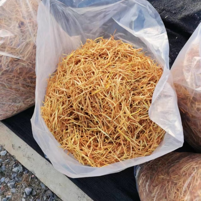 正宗祁东原产地黄花菜新货***自然晾晒散装农家土特产