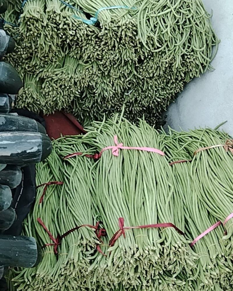 豆角