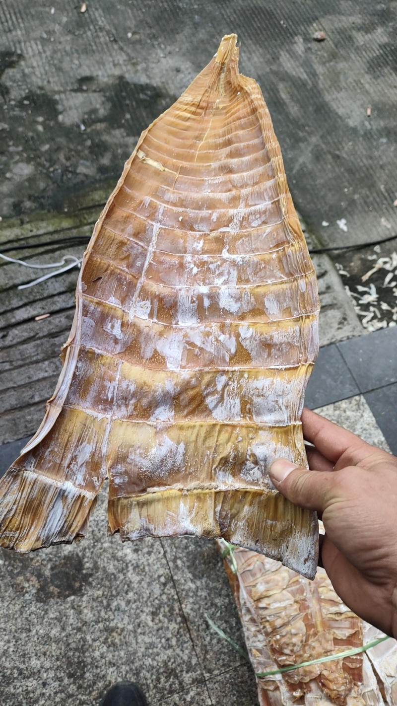 毛笋干