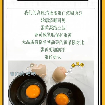 博士咕咕无菌无抗可生食鸡蛋