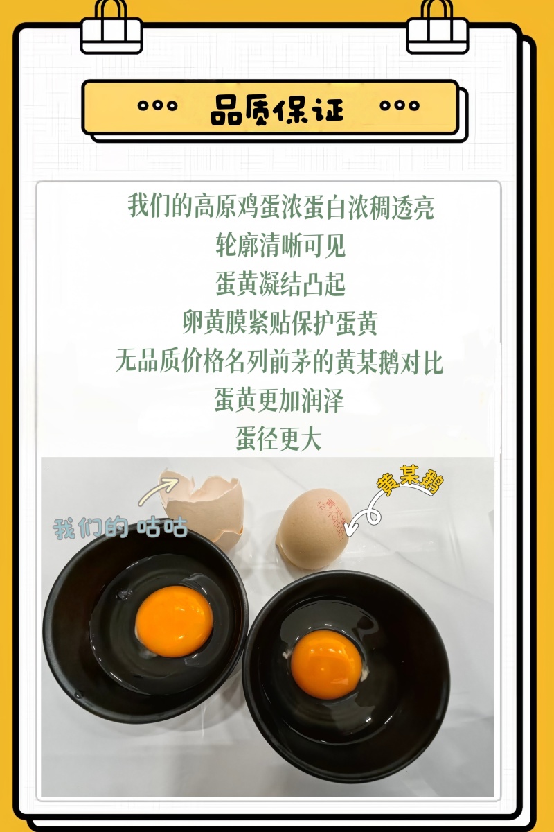 博士咕咕无菌无抗可生食鸡蛋