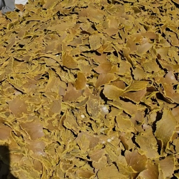 棉籽饼菜籽饼有机肥
