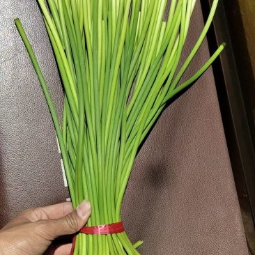 红帽蒜薹