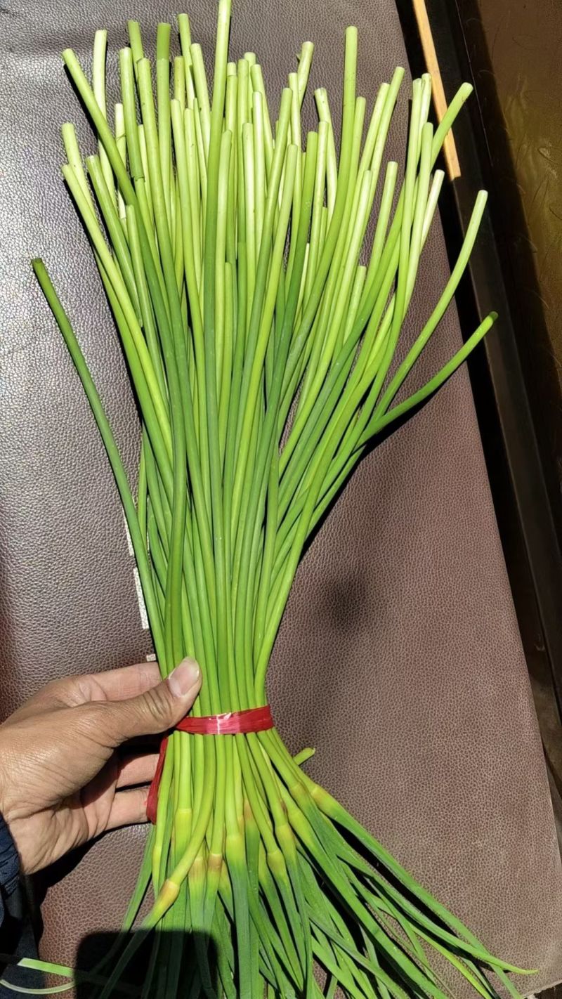 红帽蒜薹