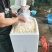 白马蹄