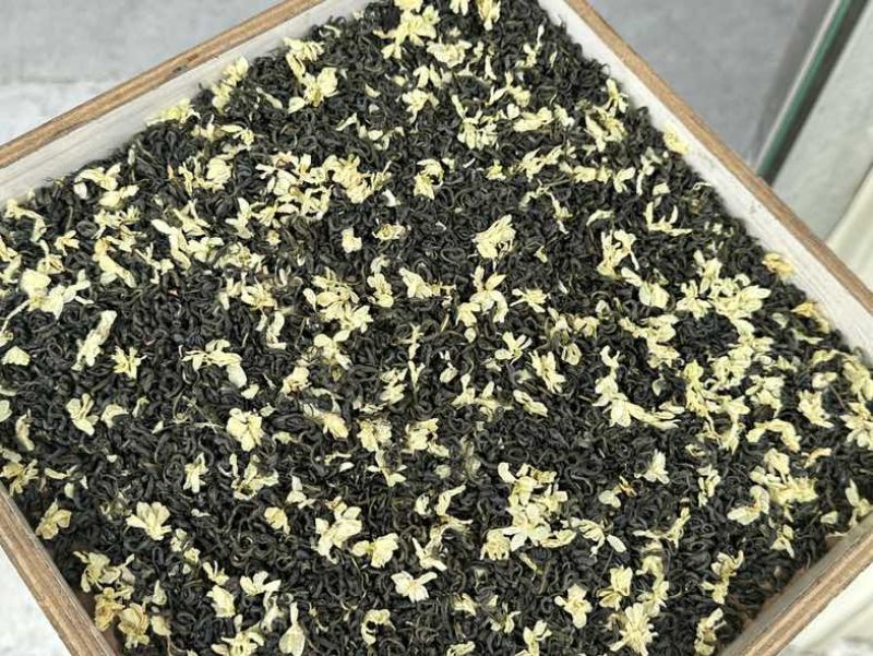 广西横州浓香型茉莉花茶源头厂家批发