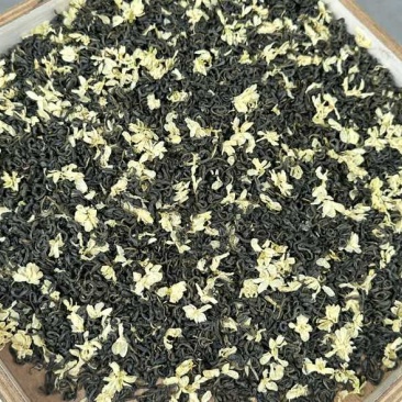 广西横州浓香型茉莉花茶源头厂家批发