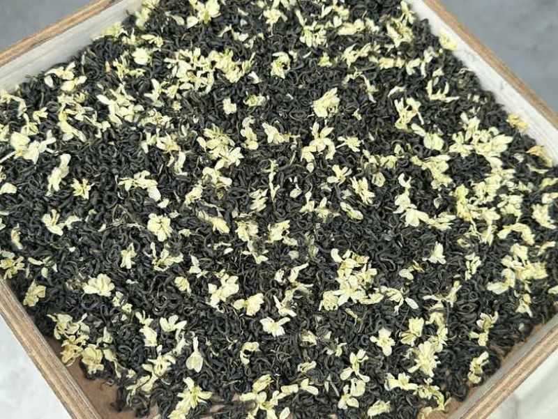 广西横州浓香型茉莉花茶源头厂家批发