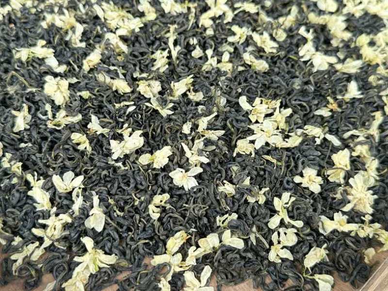 广西横州浓香型茉莉花茶源头厂家批发